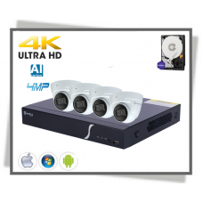 Ip Safire Smart 4 Kanal 4poe Nvr 1tb Med + 4 Stk 4megapixel Ultra Hd Fixed Lens 2.8mm Eyeball Kamera